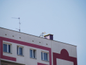 Na zewn�trz